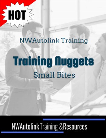 Training Nuggets – Small Bites