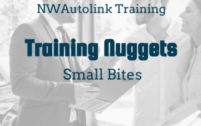 Training Nuggets – Small Bites