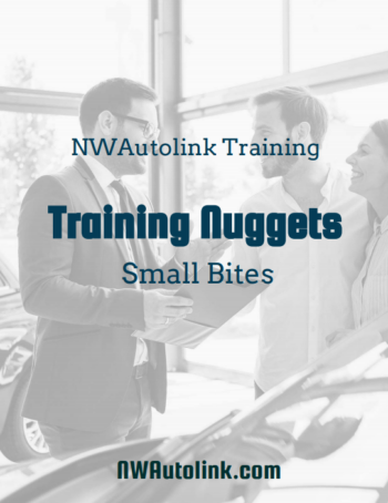 Training Nuggets – Small Bites