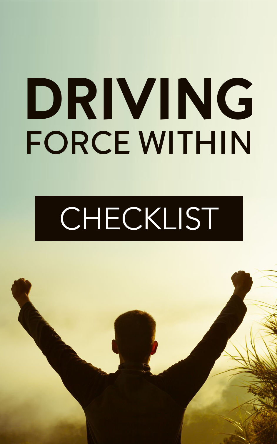 eBook – Driving Force Within – Checklist